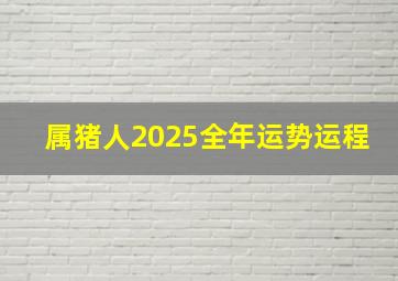 属猪人2025全年运势运程