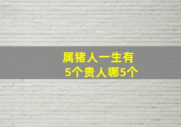 属猪人一生有5个贵人哪5个