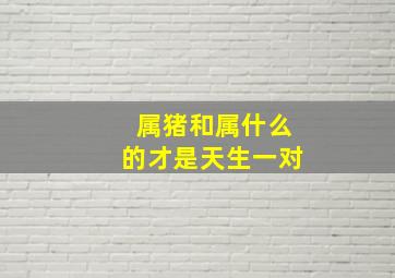 属猪和属什么的才是天生一对