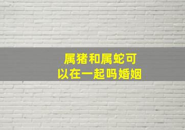 属猪和属蛇可以在一起吗婚姻