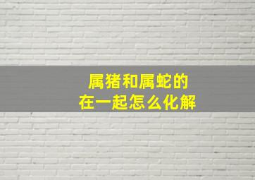 属猪和属蛇的在一起怎么化解