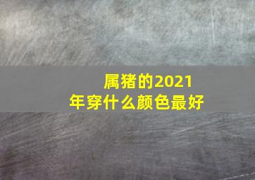 属猪的2021年穿什么颜色最好