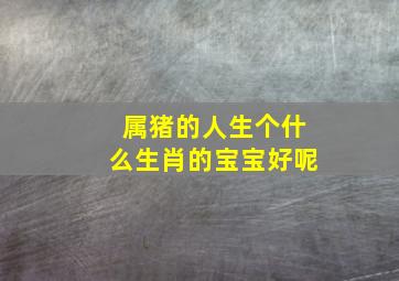 属猪的人生个什么生肖的宝宝好呢