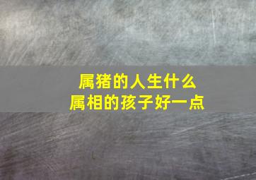 属猪的人生什么属相的孩子好一点