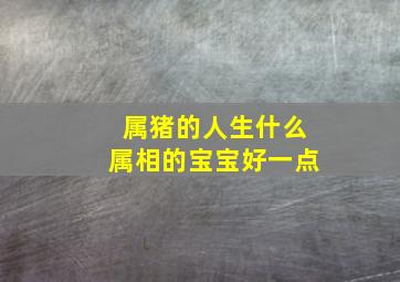 属猪的人生什么属相的宝宝好一点