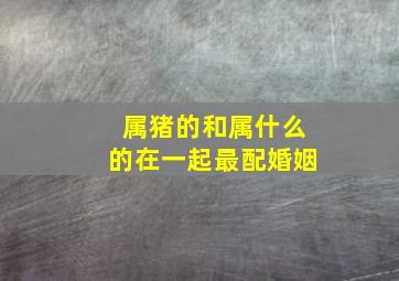 属猪的和属什么的在一起最配婚姻