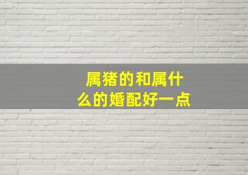 属猪的和属什么的婚配好一点