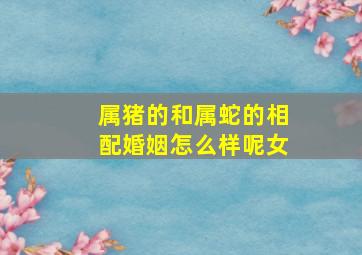 属猪的和属蛇的相配婚姻怎么样呢女