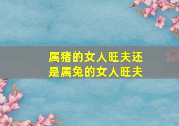 属猪的女人旺夫还是属兔的女人旺夫