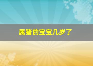 属猪的宝宝几岁了