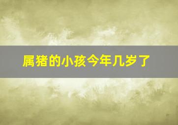 属猪的小孩今年几岁了