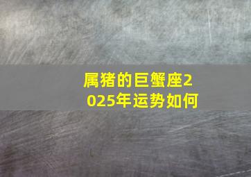 属猪的巨蟹座2025年运势如何