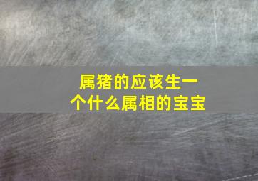 属猪的应该生一个什么属相的宝宝