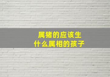 属猪的应该生什么属相的孩子