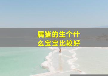 属猪的生个什么宝宝比较好