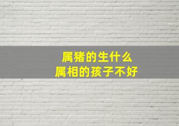 属猪的生什么属相的孩子不好