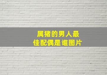 属猪的男人最佳配偶是谁图片