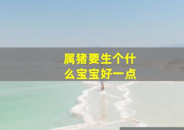 属猪要生个什么宝宝好一点