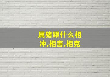 属猪跟什么相冲,相害,相克