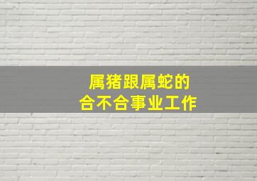 属猪跟属蛇的合不合事业工作