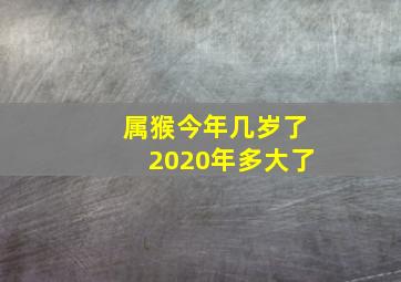 属猴今年几岁了2020年多大了