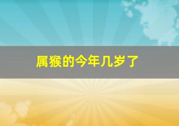 属猴的今年几岁了