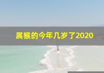 属猴的今年几岁了2020