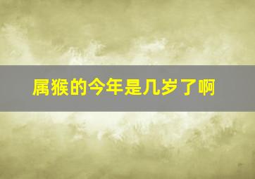 属猴的今年是几岁了啊