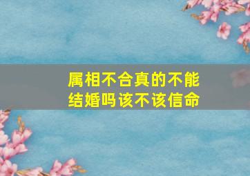 属相不合真的不能结婚吗该不该信命