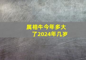 属相牛今年多大了2024年几岁