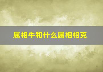 属相牛和什么属相相克