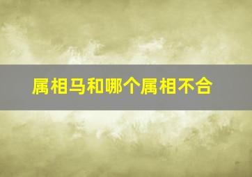 属相马和哪个属相不合