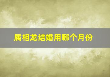 属相龙结婚用哪个月份