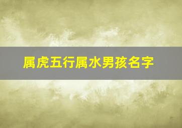 属虎五行属水男孩名字