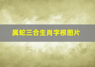 属蛇三合生肖字根图片