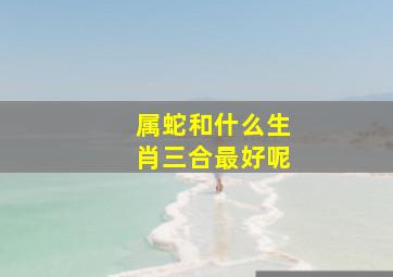 属蛇和什么生肖三合最好呢