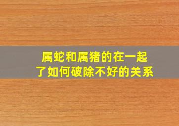 属蛇和属猪的在一起了如何破除不好的关系