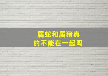 属蛇和属猪真的不能在一起吗