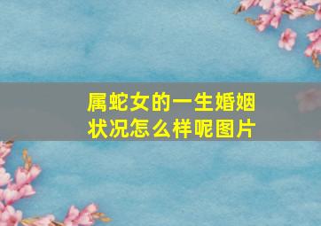 属蛇女的一生婚姻状况怎么样呢图片