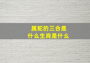 属蛇的三合是什么生肖是什么