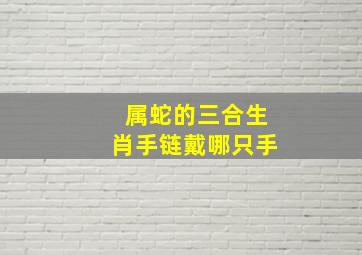 属蛇的三合生肖手链戴哪只手