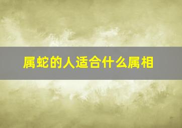 属蛇的人适合什么属相