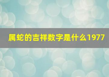 属蛇的吉祥数字是什么1977