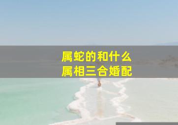 属蛇的和什么属相三合婚配