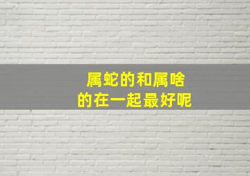 属蛇的和属啥的在一起最好呢