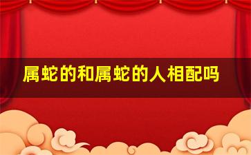 属蛇的和属蛇的人相配吗