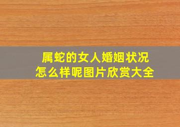 属蛇的女人婚姻状况怎么样呢图片欣赏大全