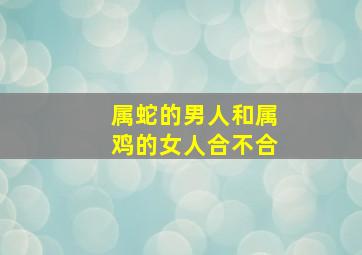 属蛇的男人和属鸡的女人合不合