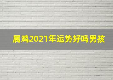 属鸡2021年运势好吗男孩