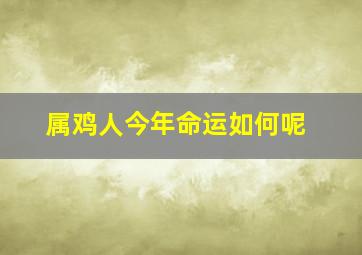 属鸡人今年命运如何呢